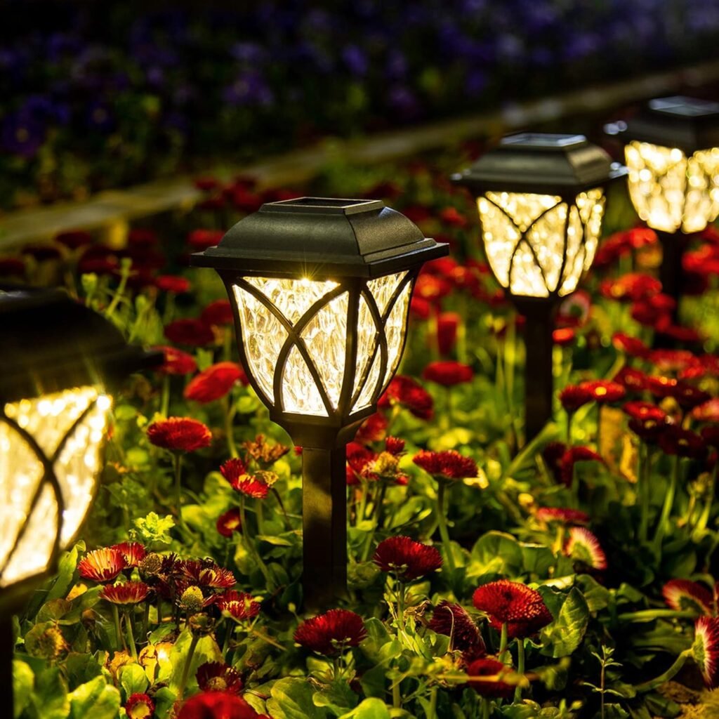 Garden lights
